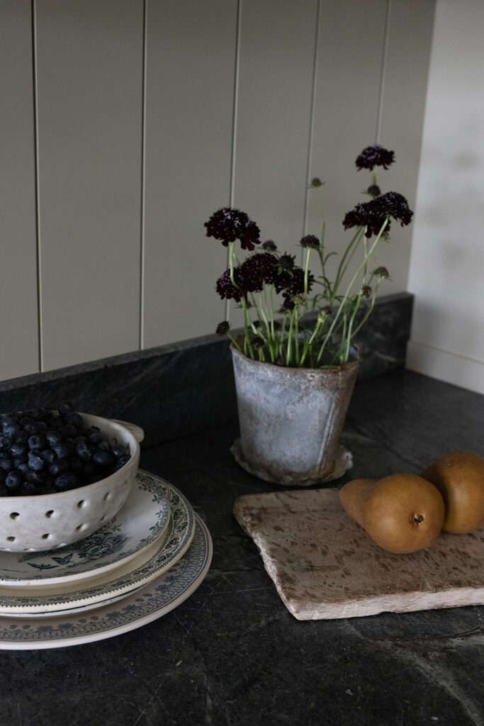 The Best Website Builder for Interior Designers Showit Templates